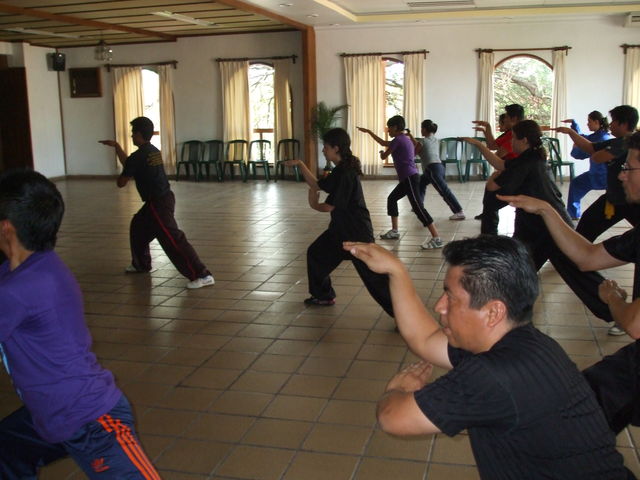 El estilo de la Serpiente y la Garza de Shaolin del Sur, es uno de los más famosos y efectivos de las artes marciales chinas tradicionales.